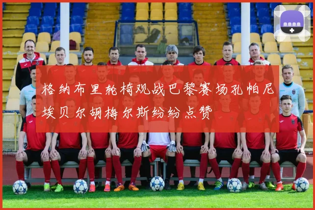 格纳布里轮椅观战巴黎赛场孔帕尼埃贝尔胡梅尔斯纷纷点赞